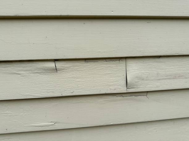 Best Aluminum Siding Installation  in Laguna Niguel, CA